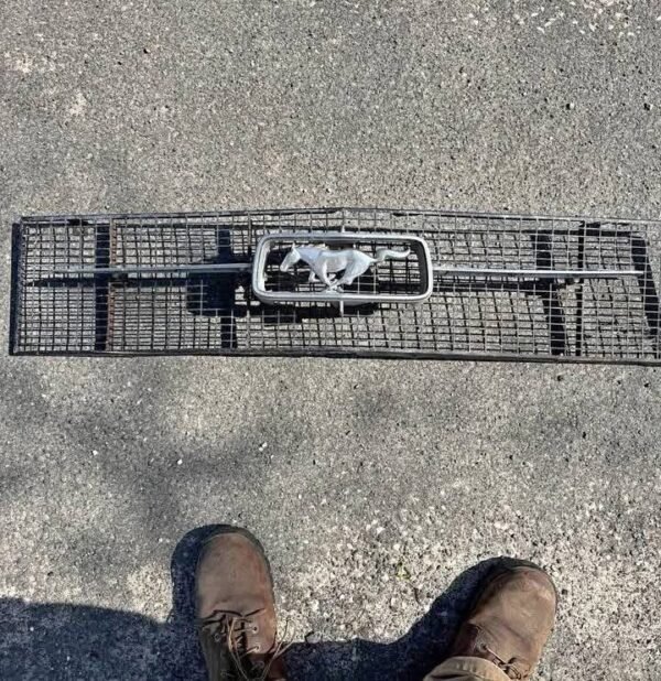 Mustang Grill