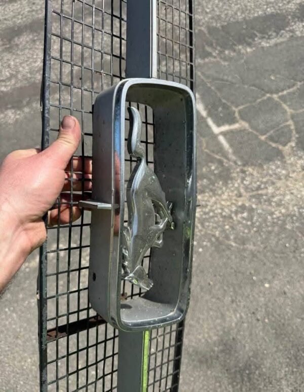 Mustang Grill - Image 2