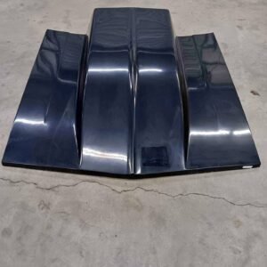 1st Gen Hood