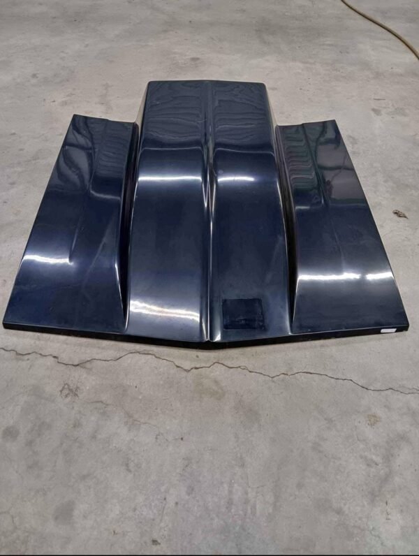 1st Gen Hood