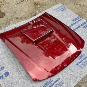 Mustang GT Hood