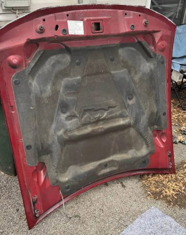 Mustang GT Hood - Image 3